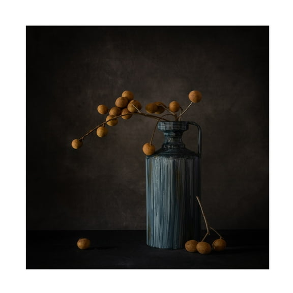 Trademark Fine Art May G Dragon Eye Canvas Wall Art