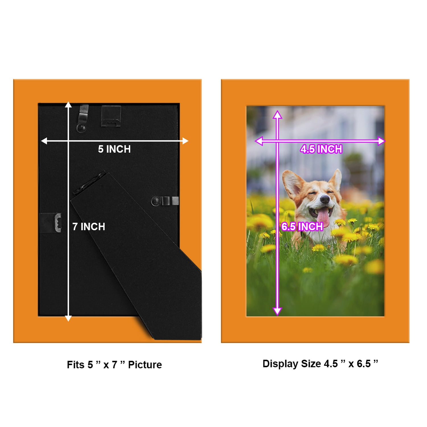 Modern 5 in. x 7 in. Orange Picture Frame (Set of 2)
