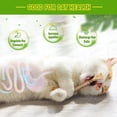 thumbnail image 3 of Cute Cat & Kitten Toys for Indoor Cats Interactive Cat & Kitten Teething Chew Toys for Aggressive Chewers Sticks Cat Dental Toy, 3 of 7