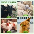 thumbnail image 5 of 100-Pack Cattle Ear Tags 001-100 Number, Plastic Round Livestock Ear Tags for Cows/Sheep/Cattle/Pig [Red], 5 of 6