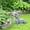 Gary, variant on HCBY Cute Resin Dog Statue for Garden Decor, Outdoor Yard Ornament Sculpture, Dachshund Figurine Memorial Gift for Dog Lovers, Home Patio Decoration (Gary,4.7"x6.7"x3.1")