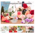 thumbnail image 4 of YSNOOWE 1Jgo Kit De Arreglo Floral Transparente Con Herramienta Invisible Para Fijar Y Decorar Flores, 4 of 6