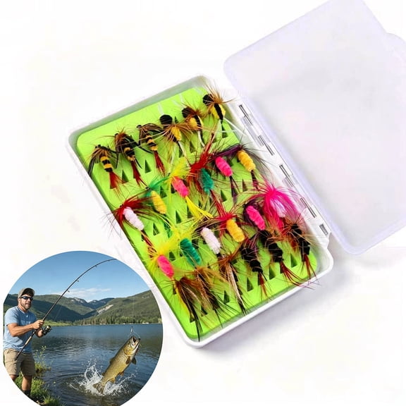 24Pcs Fly Fishing Flies Kit with Storage Box, Dry and Wet Flies for Trout, Bass, Salmon, Freshwater Fishing Lures