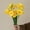 Yellow, variant on Multi-head Daffodil Simulation Flower Arrangement Silk Flower Dried Flower Arrangement-White&Yellow