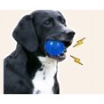 thumbnail image 5 of 3 Bolas de Juguete con Sonido para Perros BRILLAR Goma Resistente Color Azul, 5 of 5