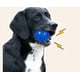 thumbnail image 5 of Pelotas de juguete con sonido para perros (3 unidades), de goma sólida y duradera, indestructibles y con rebote para entrenamiento (azul), 5 of 5