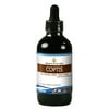 Coptis Tincture Alcohol-FREE Extract, Wildcrafted Coptis (Huang Lian, Rhizoma Coptidis) Dried Root 4 oz