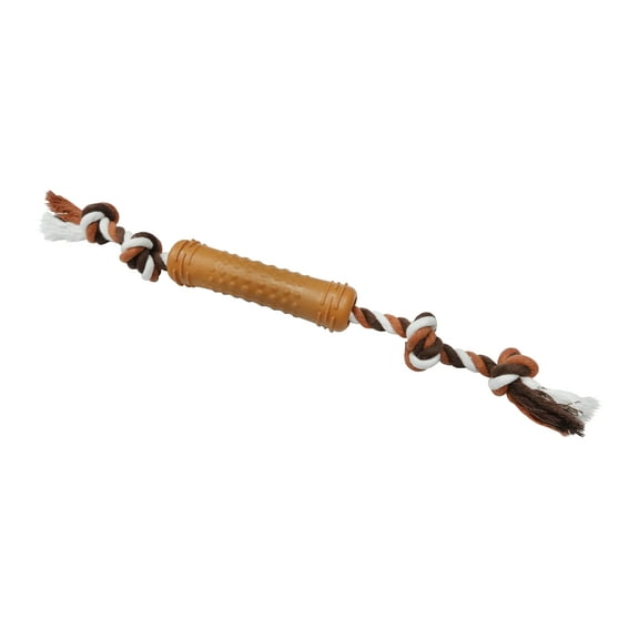 Rope & Stick Dog Toy