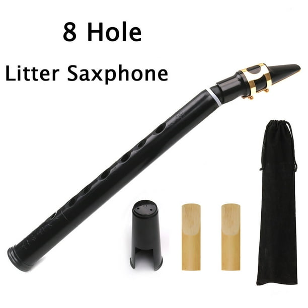 Mini instrument de musique saxophone portable, kit saxophone de poche pour  adult