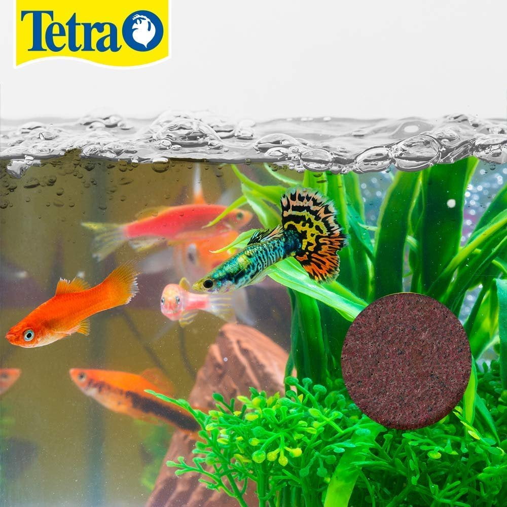(4 pack) Tetra Vacation Tropical Feeding Block, Feeds Fish up to 14 Days, 1.06 oz., 1 Block
