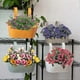 thumbnail image 5 of Metal Hanging Flower Pots, Removable Hook, Balcony or Garden Planter (27 x 21 x 14.5 cm) Blue, 5 of 5