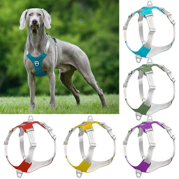 SPRING PARK Cat Dog Harness Leash Set Non-Pull Reflective Puppy Cat Vest Pet Walking Lead