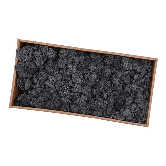 Rongfmy Natural Dried Reindeer Treated Immortal Crafts DIY Decor Black