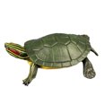 thumbnail image 1 of MasteelfCA High Simulation Brazilian Tortoise Animal Model Marine Organism Decoration for Children Playing (Green), 1 of 8
