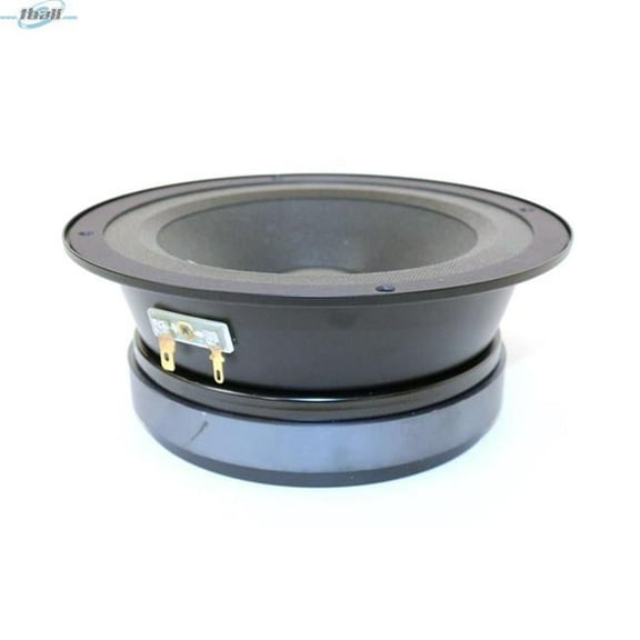 6 in. Despacito LA Midrange Speaker