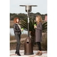 Fire Sense AllWeather Wicker Patio Heater