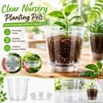 thumbnail image 3 of Plant Pots, Clear Plastic Drainage Holes Matching Saucers Tray Seed Starting Propagation Container 4 5 6 7 in Sizes Garden Sowing Vessels Botanical Growing Tool 7in, 3 of 3