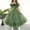 Green, variant on Party Dresses for Girls Watermelon Red Sleeveless Tulle Long Formal Wedding Pageant Party Fancy Princess Ball Gown Dresses 7-13