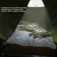 thumbnail image 3 of Pet Heating Lamp UVA UVB Full Spectrum Sun Lamp Reptile Heating Light Lamp Sunbathe Lizard Heat Lamp Bulb, 3 of 8