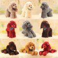 thumbnail image 2 of Lindo juguete de peluche encantador animal de peluche perro flor caniche cachorro muñeca de peluche suave niña cumpleaños regalo de Navidad 1 pieza, 2 of 5