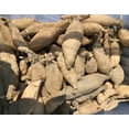 thumbnail image 3 of 1 Dahlia Le Baron Bulbs for Planting Large Decorative Dahlia Flower Bulbs Tuber, Purple Dahlia Flower, 3 of 4