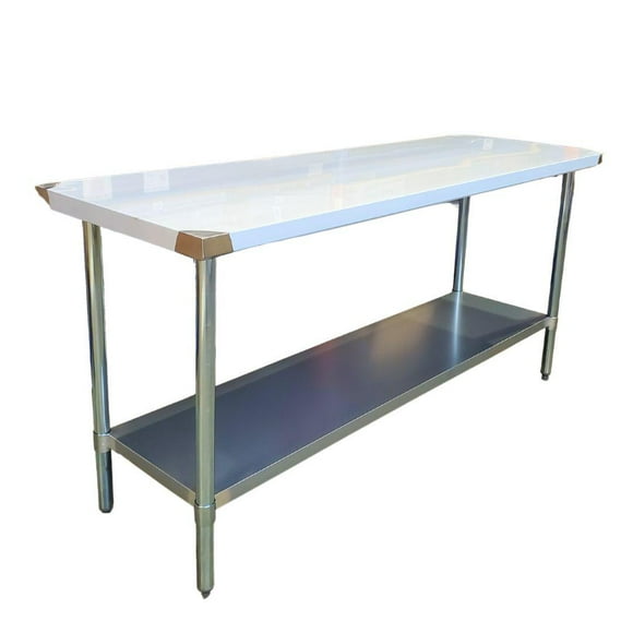Pro-Kitchen - WorkTable SS - 24 inches - Single Piece - Durable and Hygienic Work Surface (1ct)