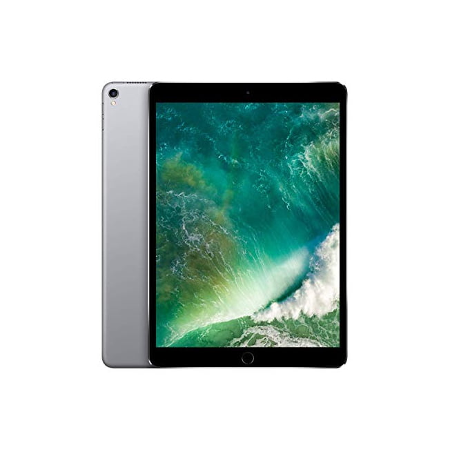 iPad Pro 10.5インチ 256GB スペースグレイ Wi-Fi melodiapet.com.br