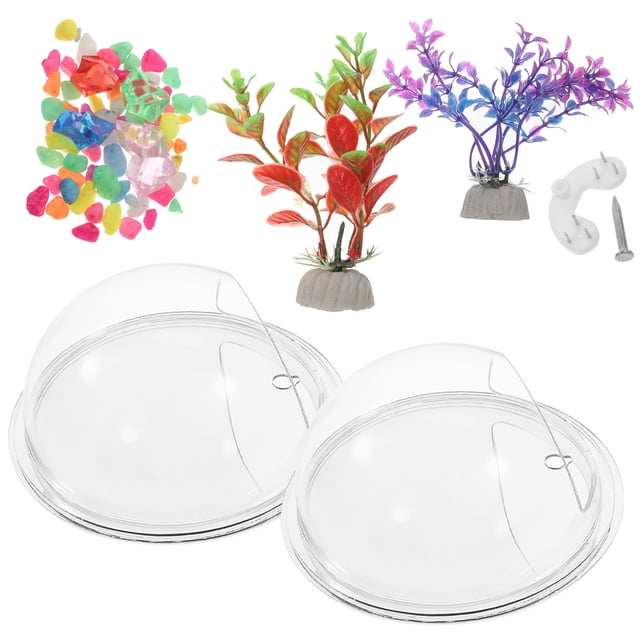 COSMOBETTY Acuario De Pared De Acrílico Transparente Para Peces Con Colgante Decorativo Multicolor