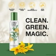thumbnail image 6 of Citrus Magic Herbaceous Odor Eliminating Air Freshener Spray, Honeysuckle Fields, 8 oz, 2 Count, 6 of 6