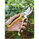 thumbnail image 4 of Tijeras de podar profesionales, tijeras de podar profesionales, tijeras de podar afiladas para ramas, flores, plantas de frutas, bonsáis, tijeras de jardín, 1 unidad, 4 of 4