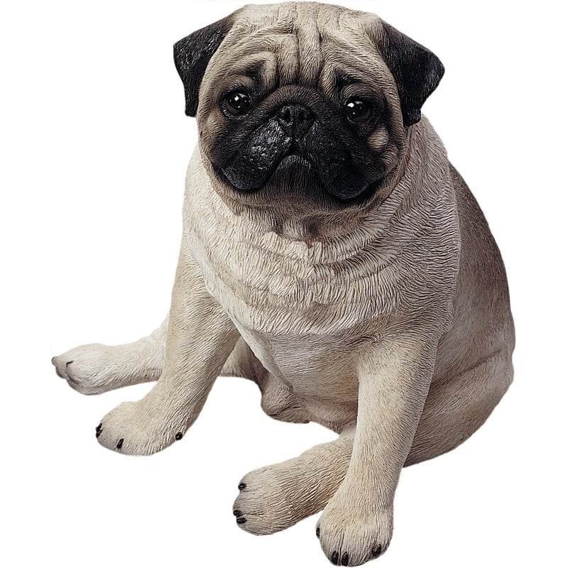 Sandicast "Life Size" Sitting Fawn Pug Dog Sculpture by Sandicast