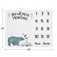 thumbnail image 5 of Sweet Jojo Designs Bear Mountain Blue and Black Fleece Milestone Baby Blanket 3 Piece Set, 5 of 6
