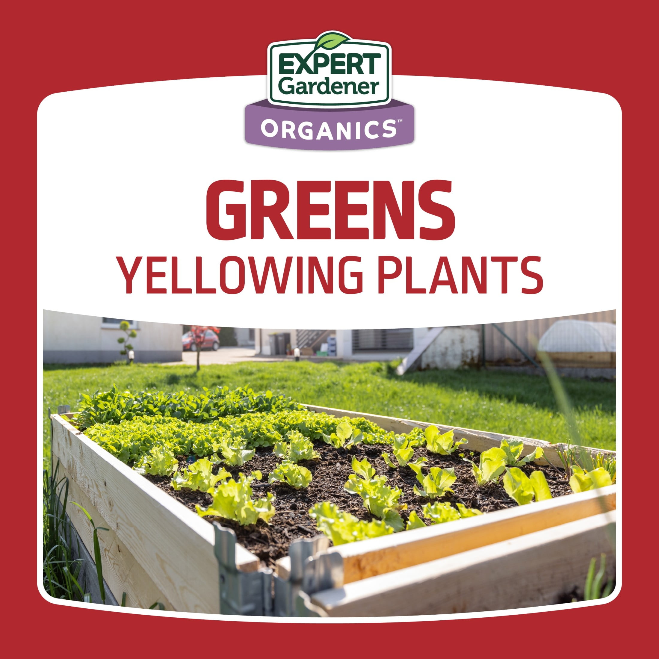Expert Gardener Blood Meal Plant Food, 13-0-0, 3 lb.