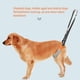 thumbnail image 5 of Eslinga Para Perros, 2 Piezas Arnés De Soporte Para Perros Silla De Ruedas Para Patas Traseras Arnés De Elevación Para Perros Patas Traseras Para Perros Eslinga De Elevación, 5 of 8