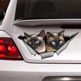 thumbnail image 1 of GHSDFBB Cats Decal, Siamese Cats car Decal, cat car Sticker, Siamese cat Sticker Vinyl Sticker for Cars, Windows, Walls, Fridge, Toilet and More-6 Inch, 1 of 1