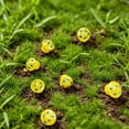 thumbnail image 4 of Juego de Mini Adornos de Hongos Que Brillan En La Oscuridad: Decoración Luminosa de Resina para Plantas En Maceta, Terrarios y Proyectos de Manualidades para El Hogar., 4 of 6