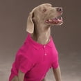 thumbnail image 5 of Zack and Zoey Polo Dog Shirt RASPBERRY SORBET PINK X-LARGE 24", 5 of 7