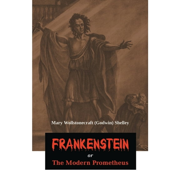 Frankenstein or The Modern Prometheus (Paperback)