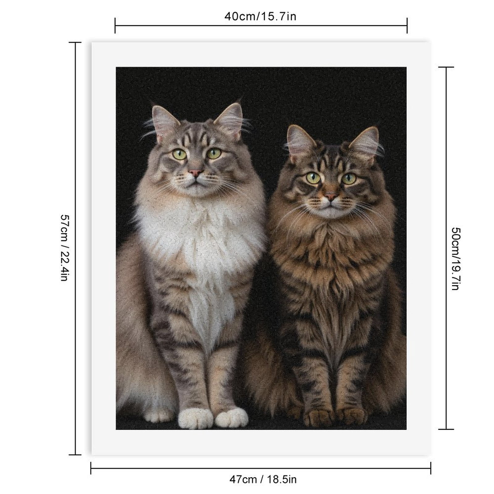 Paint By Numbers Kit for Adults Beginner - DIY Majestic Twin Cats Portrait Canvas Painting Kits for Adults, Frameless Paint By Number for Adults for Home Wall Decor 16x20 Inch