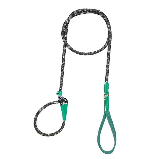 Cadena para perro, correa de entrenamiento para perros, cinta para cachorros, cuerda de tracción para correr en casa al aire libre Verde