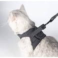 thumbnail image 4 of Arnés y correa para gatos: chaqueta para caminar para gatos con cuello para gatitos a prueba de escapes ultraligera con amortiguación para correr adecuada para cachorros conejos M, 4 of 5