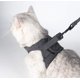 thumbnail image 4 of Arnés y correa para gatos: chaqueta para caminar para gatos con cuello para gatitos a prueba de escapes ultraligera con amortiguación para correr adecuada para cachorros conejos M, 4 of 5