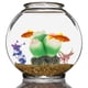 thumbnail image 3 of Acuario decorado con plantas de resina y rocas volcánicas, y piedras de acuario decoran el paisaje., 3 of 5