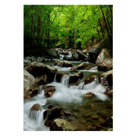 3dRose, Tennessee, Great Smoky Mountains National Park. Little Pigeon River., 22x30 Bath Hand Pool Towel