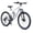 Silver, variant on 24 Inch Mountain Bike, Full Suspension 21-Speed Mountain Bicycle with Dual Disc Brakes, Carbon Steel Frame MTB Bike for Teenagers Adult Men Women, Silver