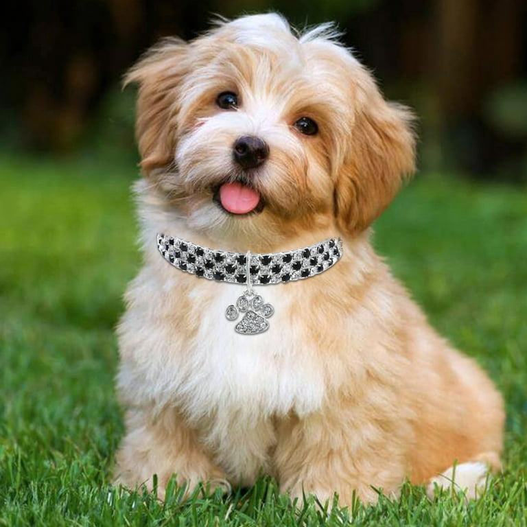 Lhasa Apso Necklace - Bones Lhasa Apso Necklace - Bones