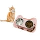 thumbnail image 1 of Plato para Gato Match & Enjoy Acero Inoxidable 2 Tazones Desmontables, 1 of 7