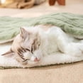 thumbnail image 4 of Green Soft Fleece Pet Blanket for Bed, Cozy Sherpa Dog Blanket for Crate, Warm Cat Mat for Small Pets Sleeping (18 X 22 Inch), 4 of 7