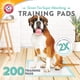 thumbnail image 2 of Almohadillas de adiestramiento para perros Arm & Hammer Green Tea, 200 unidades, antiolor, 2 of 7