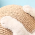 thumbnail image 4 of tredstone Reliable Cat Scratching Ball Wear-Resistant Pet Supplies for Exercise Stalwart Sisal Rope L 1Set, 4 of 6